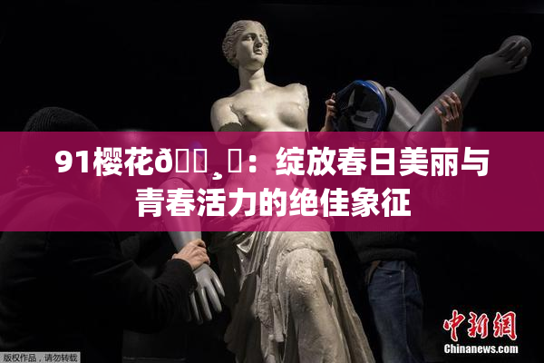 91樱花🌸‌：绽放春日美丽与青春活力的绝佳象征