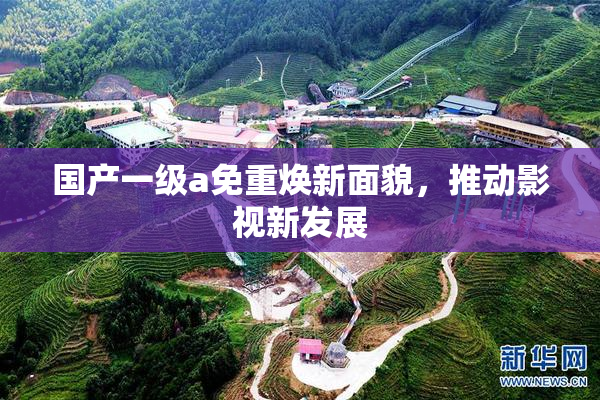 国产一级a免重焕新面貌，推动影视新发展