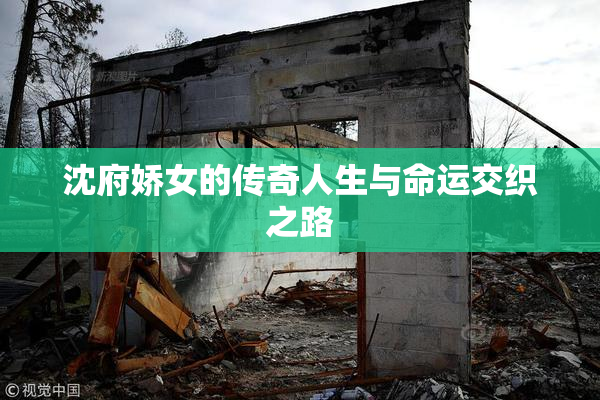 沈府娇女的传奇人生与命运交织之路