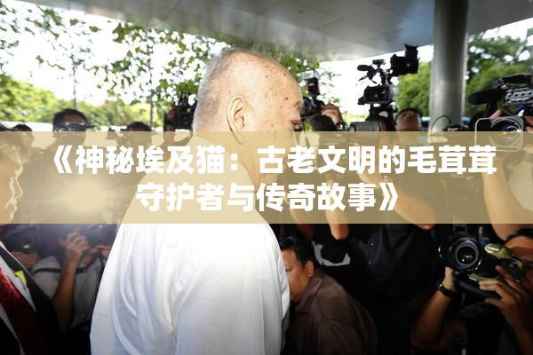 《神秘埃及猫：古老文明的毛茸茸守护者与传奇故事》