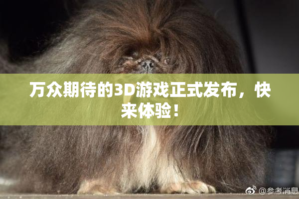 万众期待的3D游戏正式发布，快来体验！
