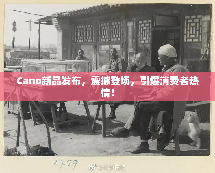 Cano新品发布，震撼登场，引爆消费者热情！