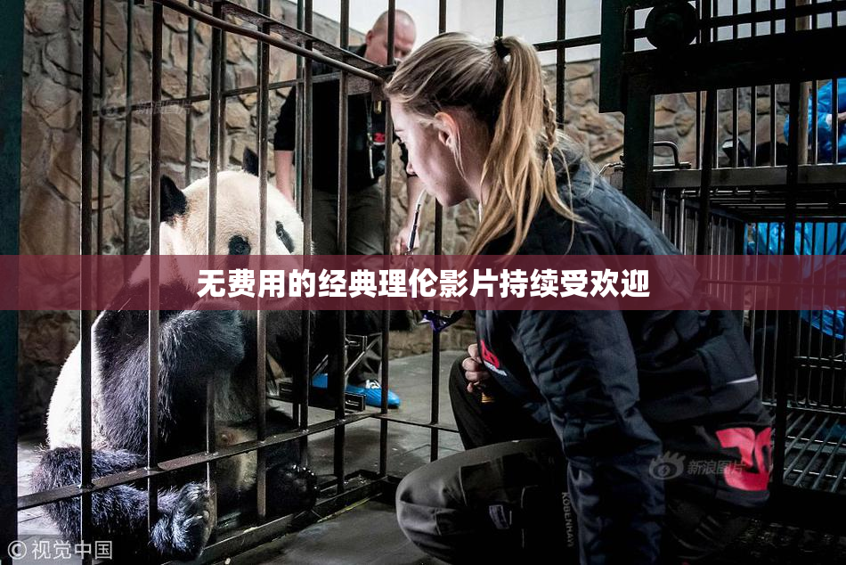 无费用的经典理伦影片持续受欢迎