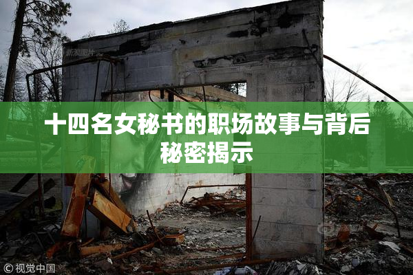 十四名女秘书的职场故事与背后秘密揭示