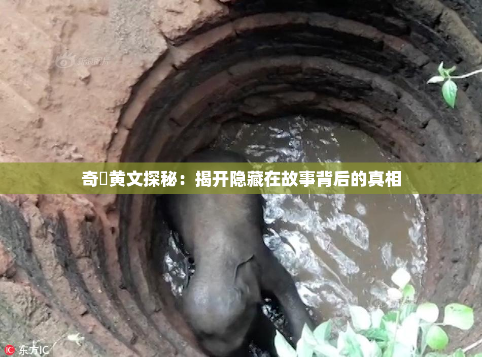 奇犽黄文探秘：揭开隐藏在故事背后的真相