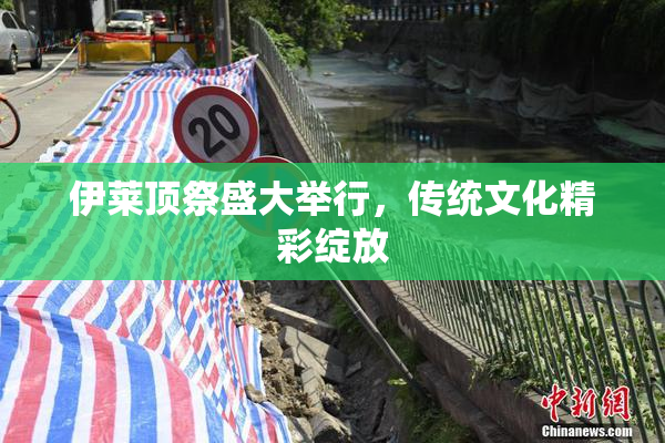 伊莱顶祭盛大举行，传统文化精彩绽放