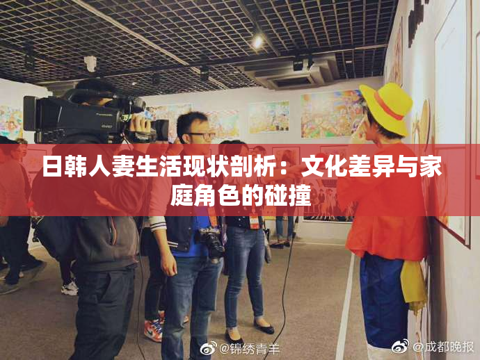 日韩人妻生活现状剖析：文化差异与家庭角色的碰撞