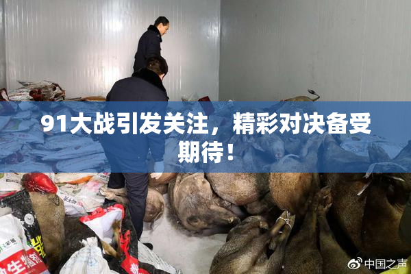 91大战引发关注，精彩对决备受期待！