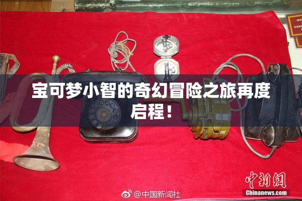 宝可梦小智的奇幻冒险之旅再度启程！
