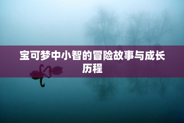 宝可梦中小智的冒险故事与成长历程