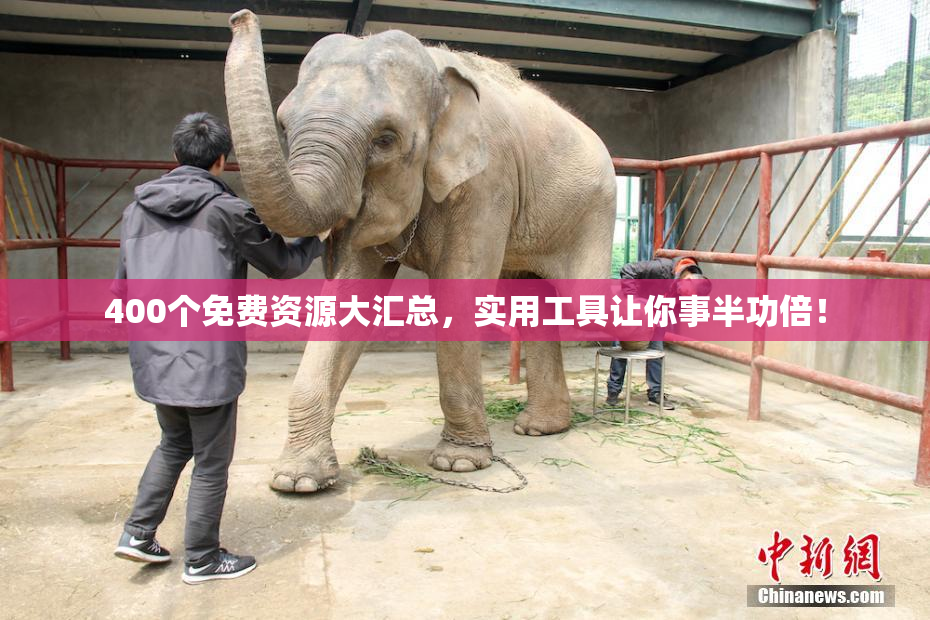 400个免费资源大汇总，实用工具让你事半功倍！