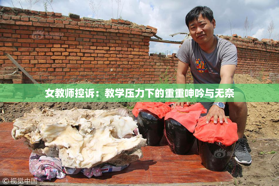 女教师控诉：教学压力下的重重呻吟与无奈