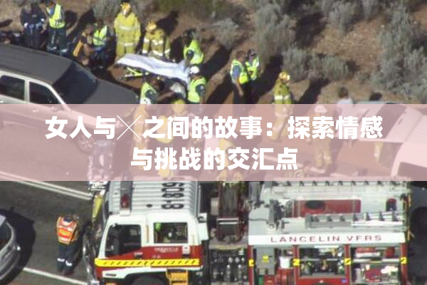 女人与╳之间的故事：探索情感与挑战的交汇点