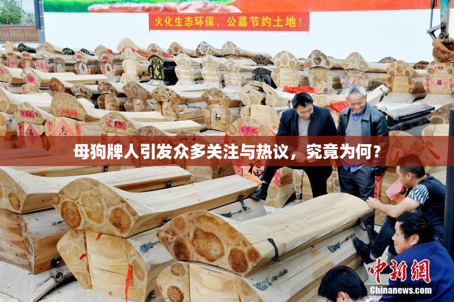 母狗牌人引发众多关注与热议，究竟为何？