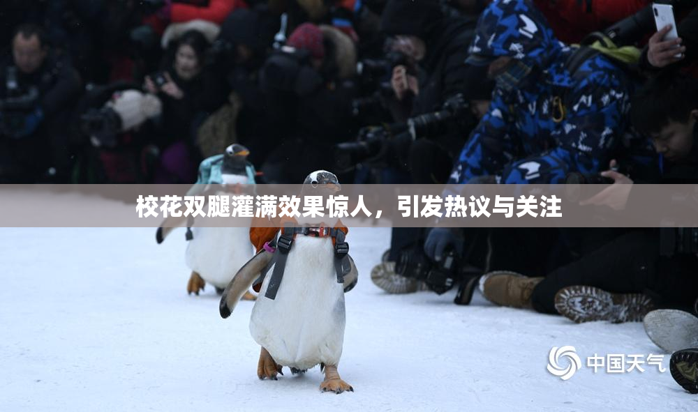 校花双腿灌满效果惊人，引发热议与关注