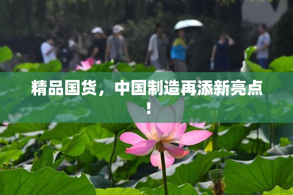 精品国货，中国制造再添新亮点！