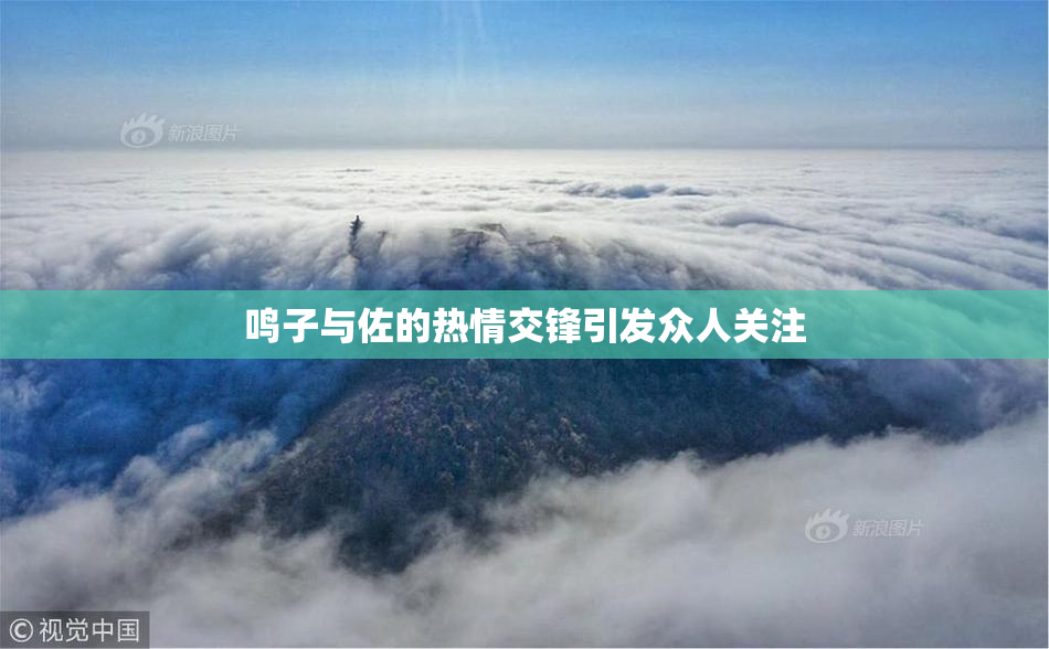 鸣子与佐的热情交锋引发众人关注