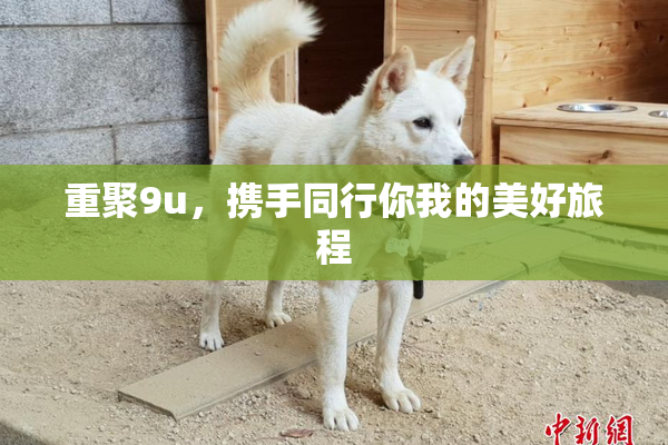 重聚9u，携手同行你我的美好旅程