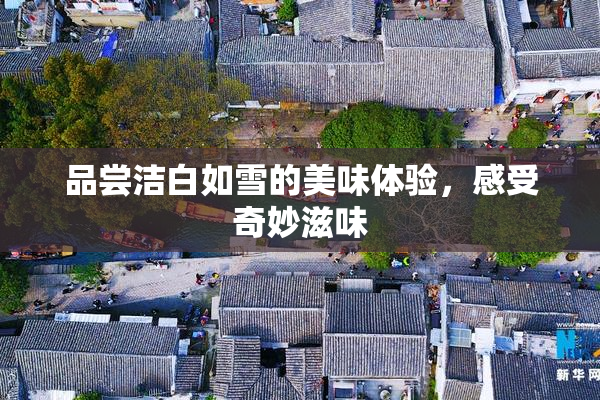 品尝洁白如雪的美味体验，感受奇妙滋味