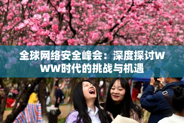 全球网络安全峰会：深度探讨WWW时代的挑战与机遇