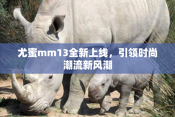 尤蜜mm13全新上线，引领时尚潮流新风潮