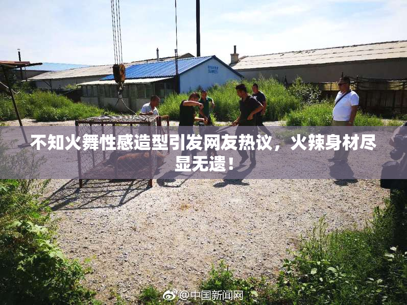 不知火舞性感造型引发网友热议，火辣身材尽显无遗！