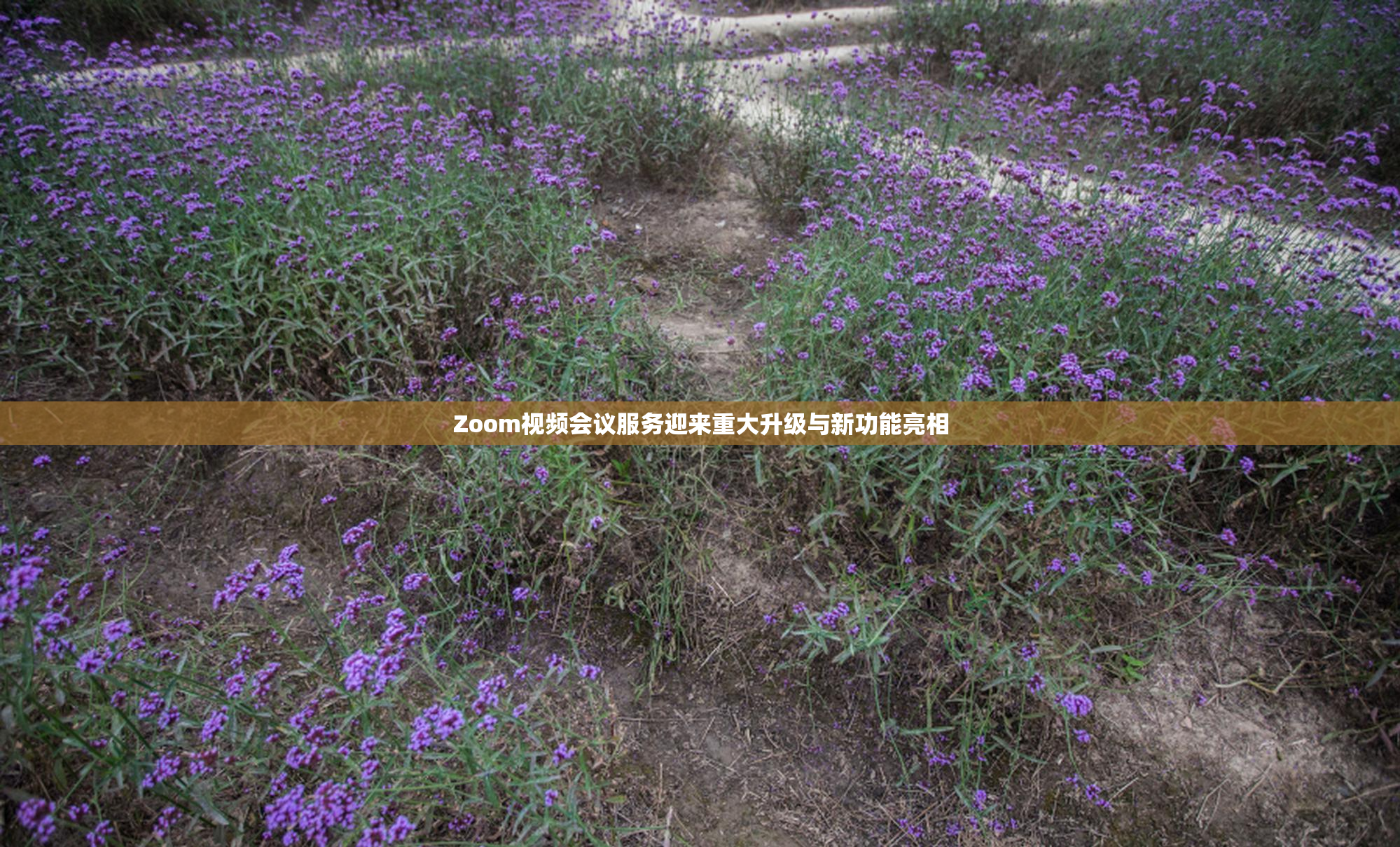 Zoom视频会议服务迎来重大升级与新功能亮相