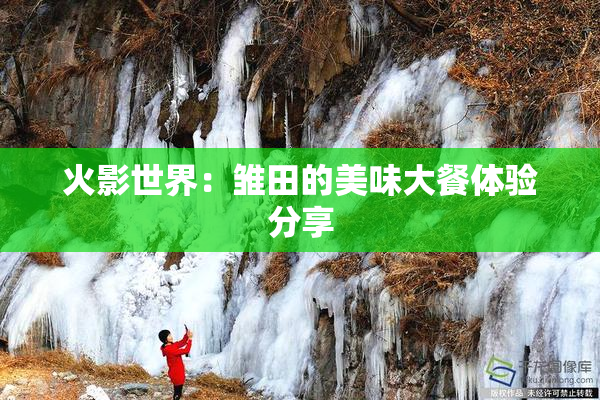 火影世界：雏田的美味大餐体验分享