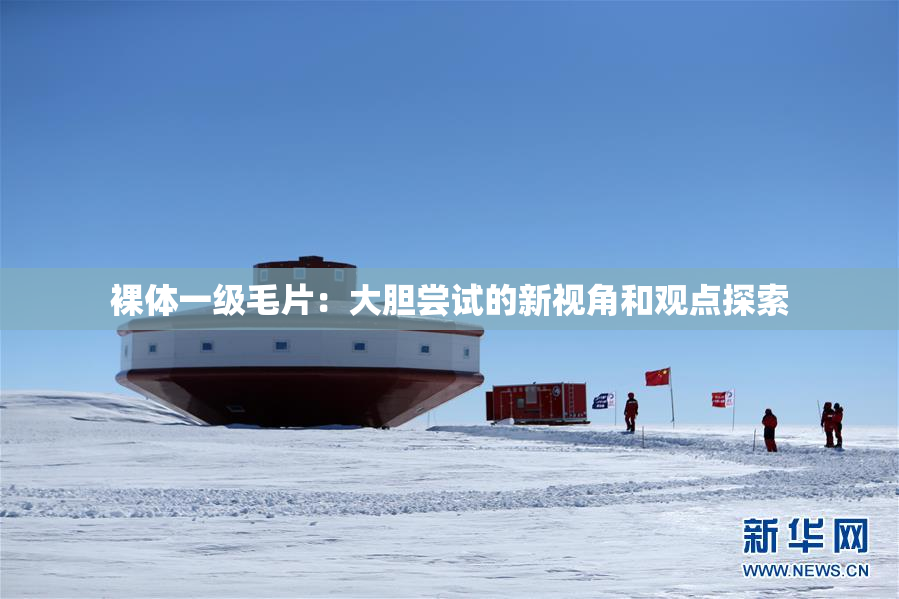 裸体一级毛片：大胆尝试的新视角和观点探索