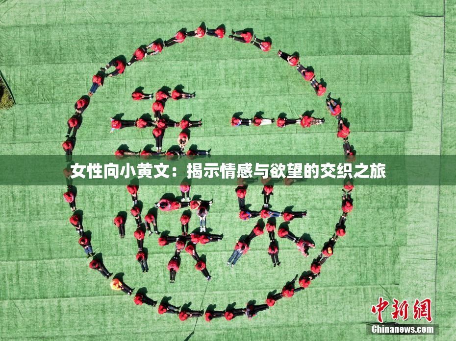 女性向小黄文：揭示情感与欲望的交织之旅