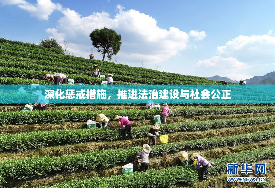 深化惩戒措施，推进法治建设与社会公正