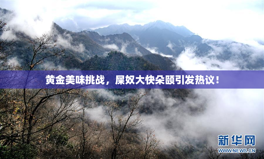黄金美味挑战，屎奴大快朵颐引发热议！