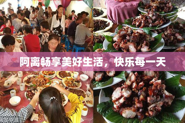 阿离畅享美好生活，快乐每一天