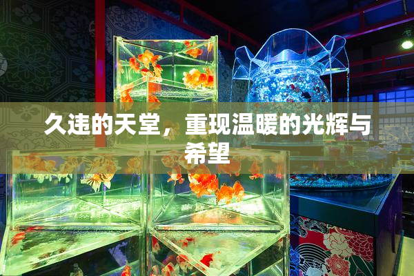 久违的天堂，重现温暖的光辉与希望