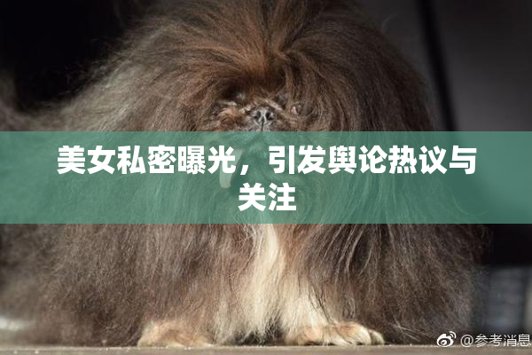 美女私密曝光，引发舆论热议与关注