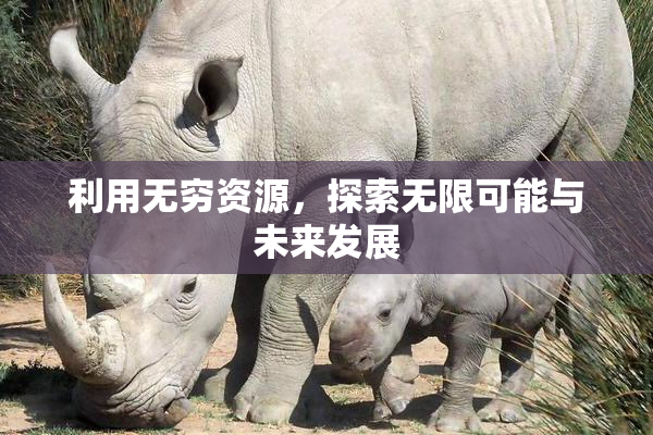 利用无穷资源，探索无限可能与未来发展