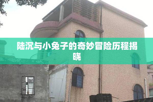 陆沉与小兔子的奇妙冒险历程揭晓