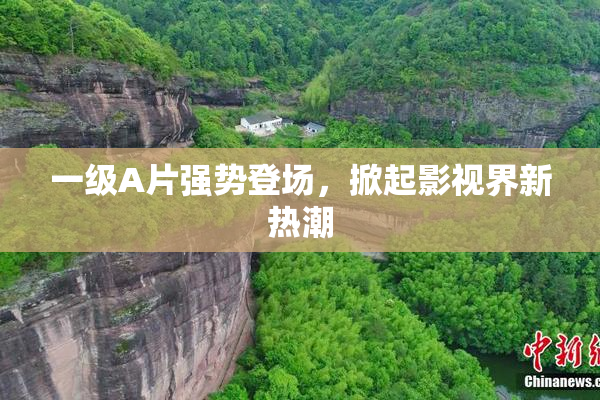 一级A片强势登场，掀起影视界新热潮