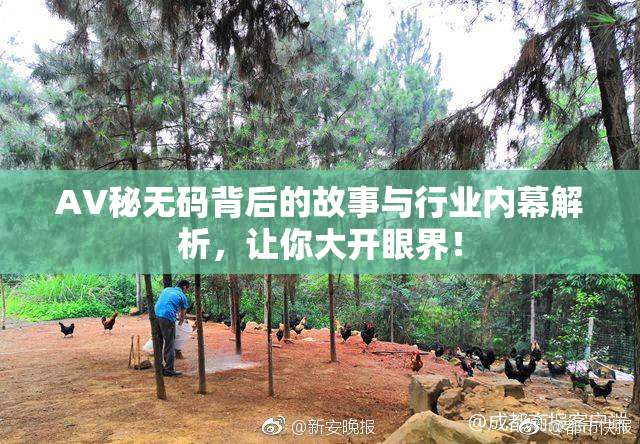AV秘无码背后的故事与行业内幕解析，让你大开眼界！