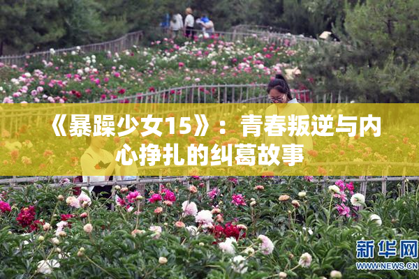 《暴躁少女15》：青春叛逆与内心挣扎的纠葛故事