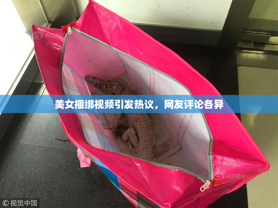 美女捆绑视频引发热议，网友评论各异