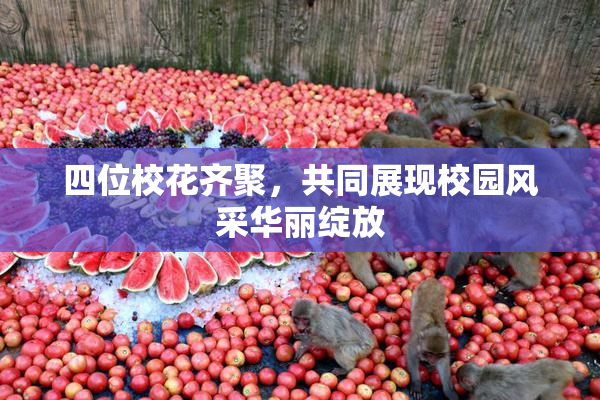四位校花齐聚，共同展现校园风采华丽绽放