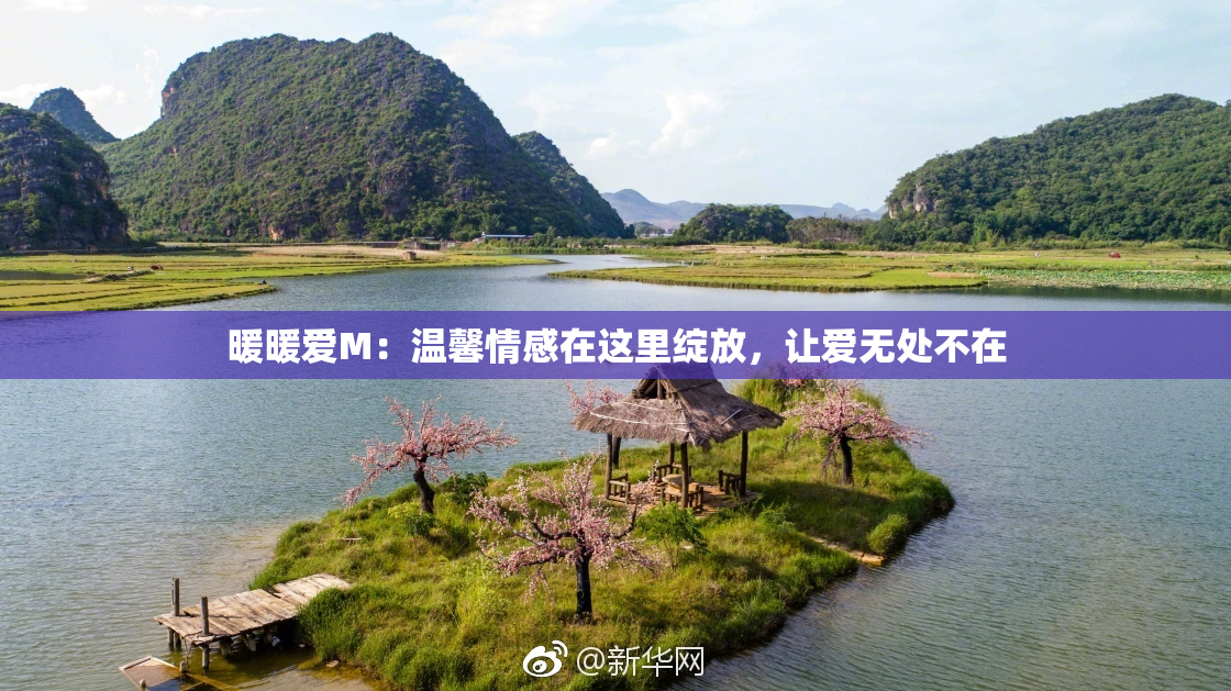 暖暖爱M：温馨情感在这里绽放，让爱无处不在