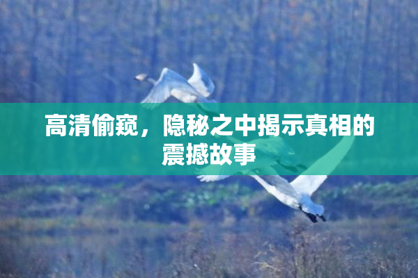 高清偷窥，隐秘之中揭示真相的震撼故事