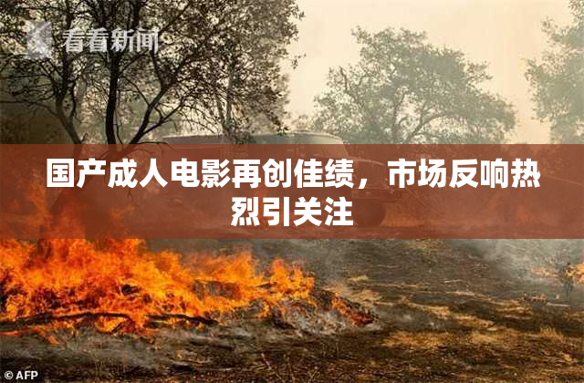 国产成人电影再创佳绩，市场反响热烈引关注