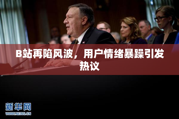 B站再陷风波，用户情绪暴躁引发热议