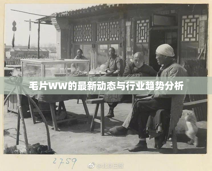 毛片WW的最新动态与行业趋势分析