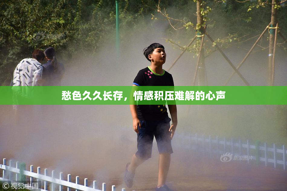 愁色久久长存，情感积压难解的心声