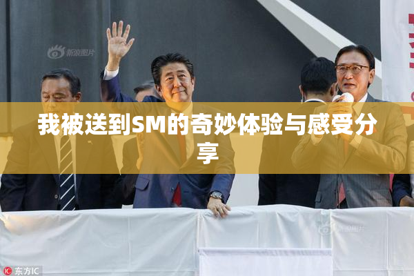 我被送到SM的奇妙体验与感受分享