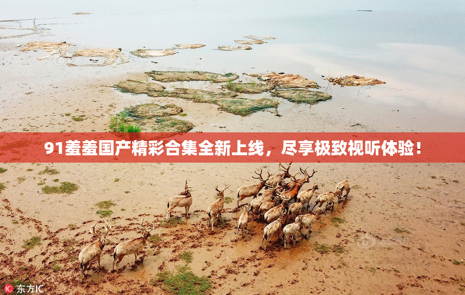 91羞羞国产精彩合集全新上线，尽享极致视听体验！